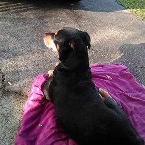 Meet your Posher, Richard